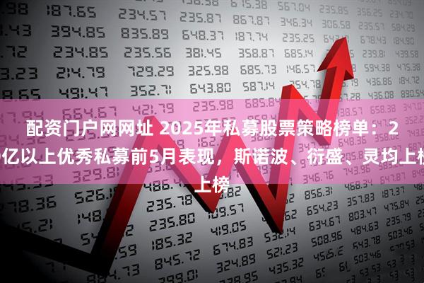 配资门户网网址 2025年私募股票策略榜单：20亿以上优秀私募前5月表现，斯诺波、衍盛、灵均上榜