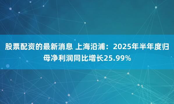股票配资的最新消息 上海沿浦：2025年半年度归母净利润同比增长25.99%